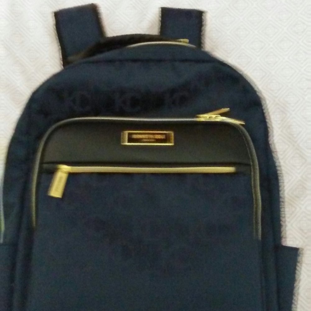 A Great Kenneth Cole Backpack